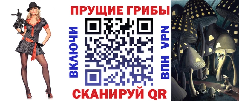 Галлюциногенные грибы MAGIC MUSHROOMS  даркнет сайт  Меленки 