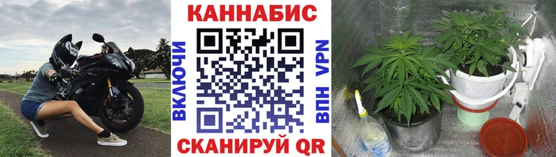 Каннабис план  закладки  Меленки 